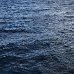 AA级国产一级毛片
